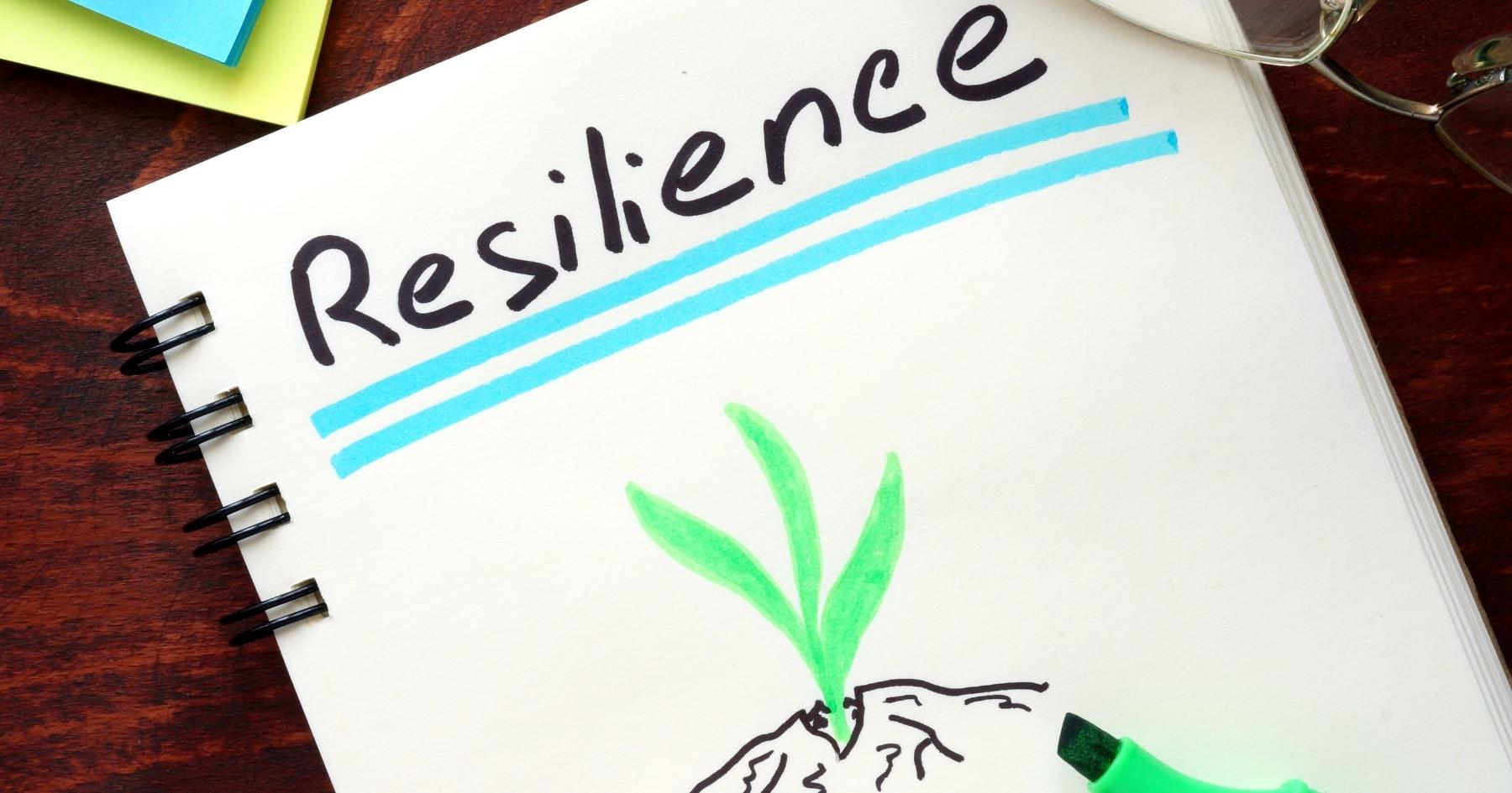 Utilizar la gamificación para fortalecer habilidades como la adaptabilidad y la resiliencia